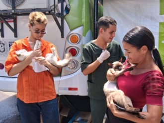Em Olinda, castram&oacute;vel oferece mais de mil vagas para castra&ccedil;&atilde;o gratuita de c&atilde;es e gatos