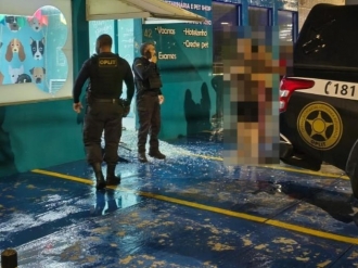 Casal &eacute; preso ap&oacute;s quebrar vidra&ccedil;a de petshop e furtar equipamento em Macei&oacute;