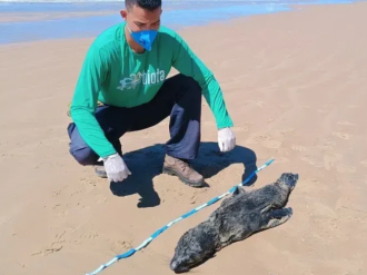Laudo de Lobo-Marinho encontrado em Feliz Deserto confirma morte por causas naturais