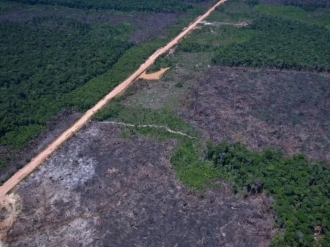 Desmatamento na Amaz&ocirc;nia cai 36,87% e atinge menor n&iacute;vel desde 2016