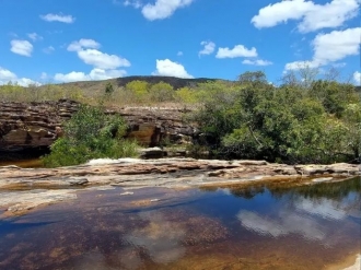Pantanal perde &aacute;reas alagadas e enfrenta avan&ccedil;o do processo de seca