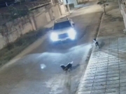 Motorista que atropelou cachorro propositalmente se torna r&eacute;u em Alagoas
