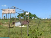 Corpos encontrados em Barra de Jangada são dos irmãos