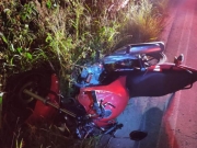 Colis&atilde;o com cavalo mata motociclista em Girau do Ponciano