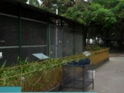 Animais são retirados do zoológico do Parque Treze de Maio