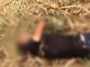 Homem &eacute; morto a tiros e tem corpo jogado em planta&ccedil;&atilde;o de milho em Batalha