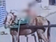 Jovem &eacute; apreendido ap&oacute;s espancar uma &eacute;gua em S&atilde;o Louren&ccedil;o da Mata