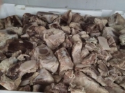 Opera&ccedil;&atilde;o da Vigil&acirc;ncia Sanit&aacute;ria em supermercado revela apreens&atilde;o de 700 kg de carne de charque estragada