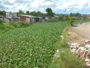 Moradores denunciam neglig&ecirc;ncia na limpeza do canal na comunidade do V8, em Olinda