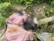 Mulher de 22 anos &eacute; encontrada morta em terreno baldio em Macei&oacute; com sinais de viol&ecirc;ncia extrema