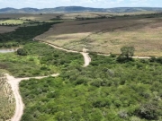 Desmatamento na Mata Atl&acirc;ntica: Pernambuco registra mais de 670 hectares suprimidos em 2024