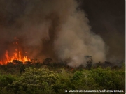 Brasil tem 22,38 milh&otilde;es de hectares atingidos pelo fogo em nove meses