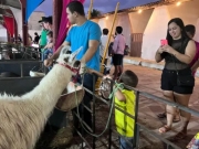 Expoagrinho traz divers&atilde;o para todas as idades na 74&ordf; Expoagro em Macei&oacute;