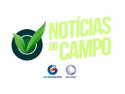 Novidades 2025: Estreia na TV Guararapes Record o programa Not&iacute;cias do Campo