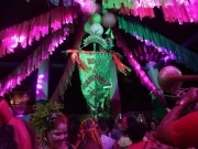 Evento do Bloco Hoje a Mangueira Entra abre agenda de bailes pré-carnavalescos de fevereiro