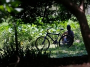 Outono come&ccedil;a com previs&atilde;o de temperaturas acima da m&eacute;dia