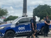 Prefeitura do Cabo de Santo Agostinho solicita refor&ccedil;os das For&ccedil;as Armadas