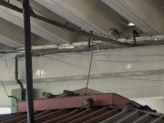 Terminal do Cais de Santa Rita vira foco de sujeira e reclama&ccedil;&otilde;es por infesta&ccedil;&atilde;o de pombos