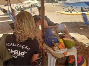 Turista é autuado por tocar e perseguir uma tartaruga marinha em Fernando de Noronha