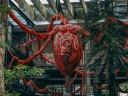 Exposição 'Conexões Viscerais' em cartaz na CAIXA Cultural Recife