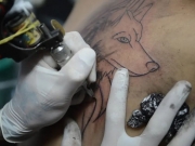 CFM pro&iacute;be anestesia para a realiza&ccedil;&atilde;o de tatuagens