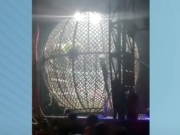 Acidente grave entre motociclistas durante apresenta&ccedil;&atilde;o no Globo da Morte assusta p&uacute;blico em circo de Itapissuma