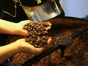 Pre&ccedil;o do caf&eacute; cai pela primeira vez depois de 18 meses, diz IBGE