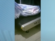 V&iacute;deo mostra &ldquo;farra&rdquo; com boi inteiro em pres&iacute;dio de Petrolina
