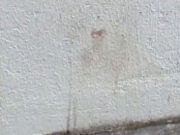 Mulher &eacute; presa em flagrante suspeita de matar companheiro a facadas no Recife