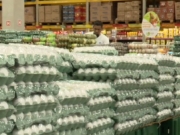 Pernambuco bate recorde na produ&ccedil;&atilde;o de ovos pelo aumento do consumo