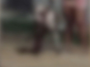 Homem é preso após usar pitbull para matar gata de vizinha na Mata Norte de Pernambuco