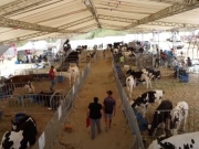 Itaíba celebra 3ª Expoite e reforça posição como maior bacia leiteira do Nordeste