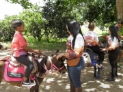 Interação com pôneis ajuda no desenvolvimento emocional e cognitivo de crianças em Araçoiaba
