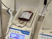 Campanha pelos 60 anos do administrador refor&ccedil;a import&acirc;ncia da doa&ccedil;&atilde;o de sangue e de medula &oacute;ssea em Alagoas