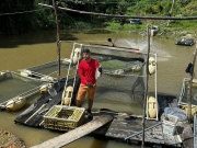 Cooperativa mudou a vida de produtores que apostam na criação de tilápia