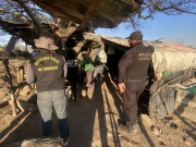 Operação liberta 14 trabalhadores submetidos à escravidão moderna em Exu e Parnamirim