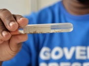 Minist&eacute;rio da Sa&uacute;de aponta queda de 58% nos casos de dengue em Alagoas