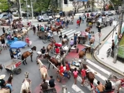 Protesto dos carroceiros paralisa o centro do Recife em frente à Câmara Municipal
