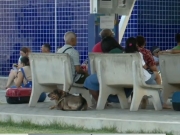 Tutores de animais reclamam da falta de atendimento no Hospital Veterin&aacute;rio do Recife