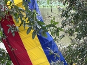 Prefeito de Barreiros sofre segundo acidente com ultraleve em 8 dias e fica ferido