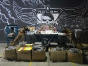 PM apreende mais de 50 quilos de drogas em im&oacute;vel abandonado em Arapiraca