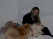 Barulho e luzes dos fogos assustam pets e exigem cuidados especiais durante a virada de ano