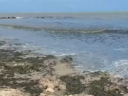 Fen&ocirc;meno muda cor da &aacute;gua e preocupa banhistas na praia de Candeias