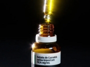 Anvisa aprova cultivo de cannabis por empresas e amplia acesso