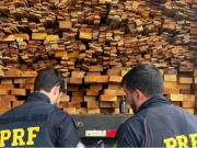 PRF apreende mais de 337 metros cúbicos de madeira ilegal no Sertão de Pernambuco