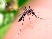 Sa&uacute;de orienta popula&ccedil;&atilde;o sobre cuidados com casas e empresas fechadas durante o Carnaval