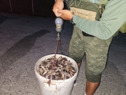 BPA apreende quase 18 kg de patas de caranguejo durante defeso na Lagoa Munda&uacute;