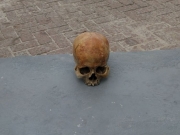 Cr&acirc;nio humano &eacute; encontrado por banhista no mar da Paju&ccedil;ara