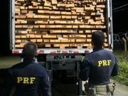 PRF apreende mais de 600 m&sup3; de madeira irregular no Sert&atilde;o de Pernambuco