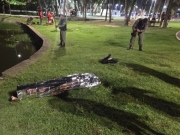 Corpo de homem &eacute; encontrado boiando na Lagoa da Anta, em Macei&oacute;